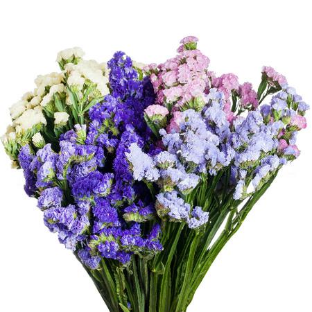 Статица рэйнбоу в Новосибирске