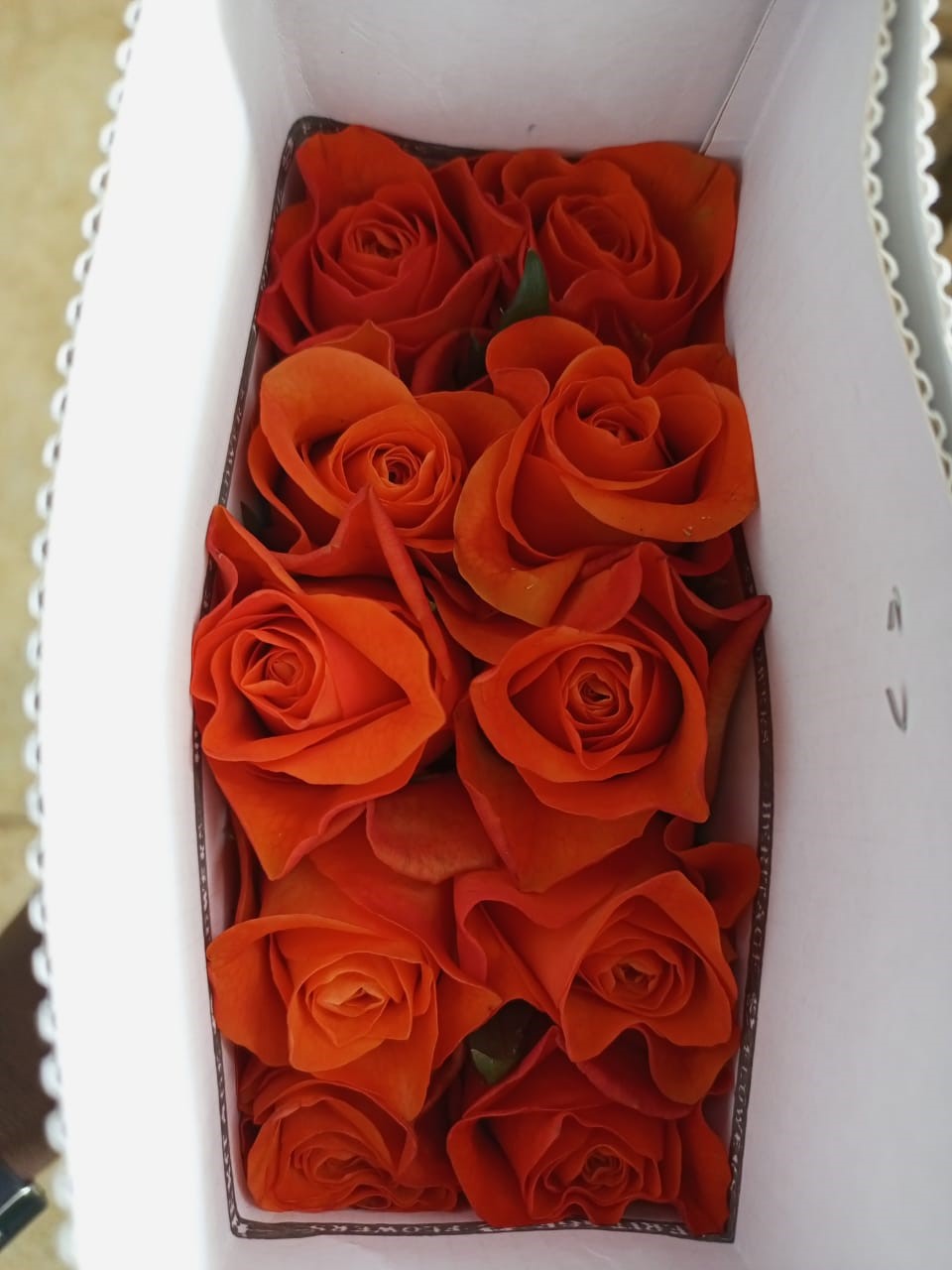 Роза однг оранж вейв в Санкт-Петербурге