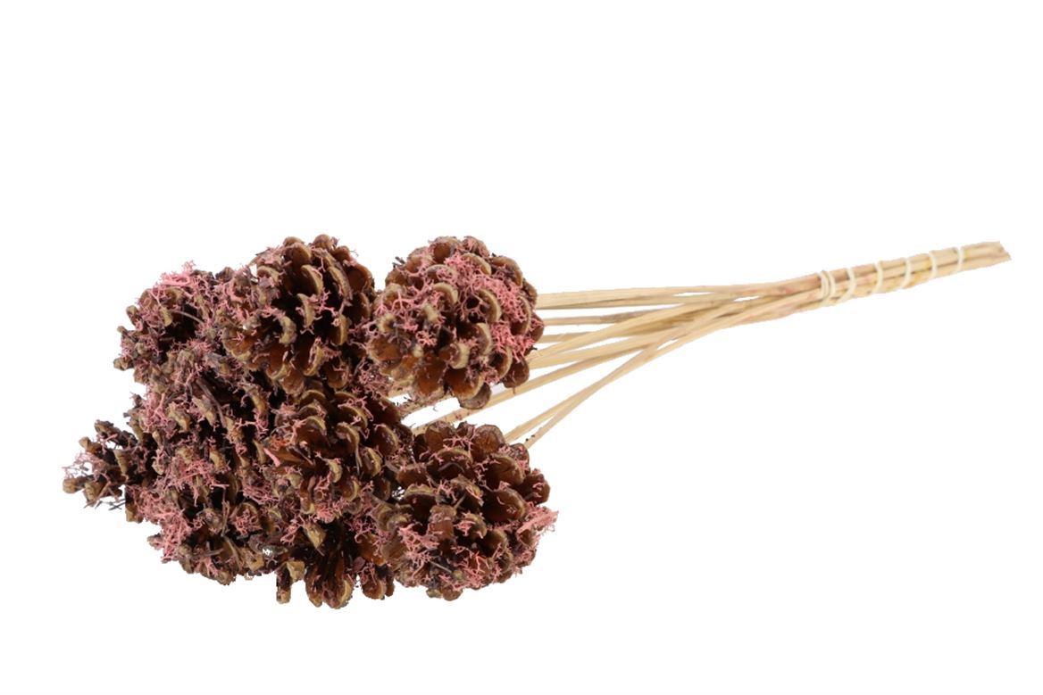 Декор Шишки сосны 10 шт. натуральные розовые