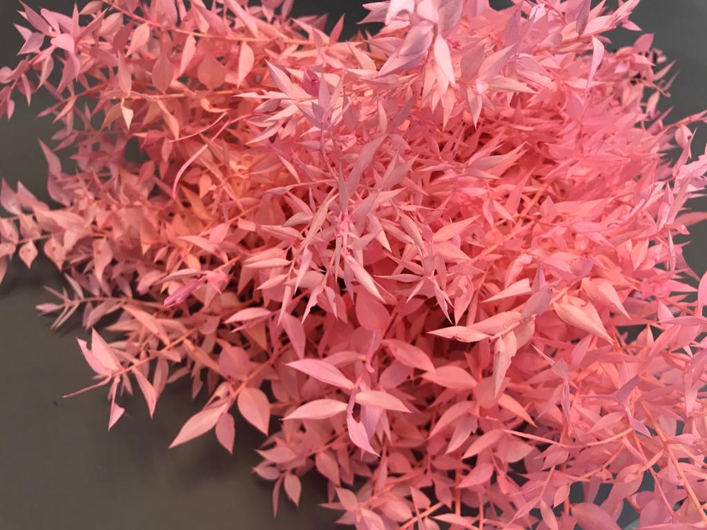 Листья Рускус выбеленный розовый