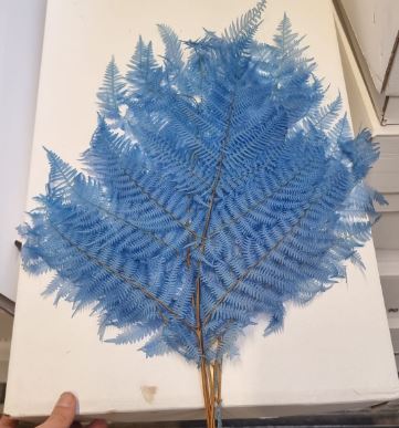 Листья Ледерварен стабилизированный светло-синий