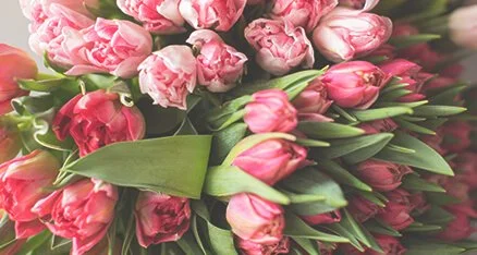 🌷 Купить цветы оптом в Москве от прямого поставщика «7ЦВЕТОВ»🌺