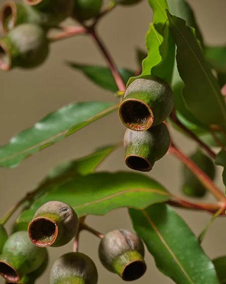Зарегистрируйтесь на 7ЦВЕТОВ для работы