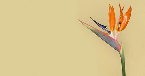 Программа лояльности