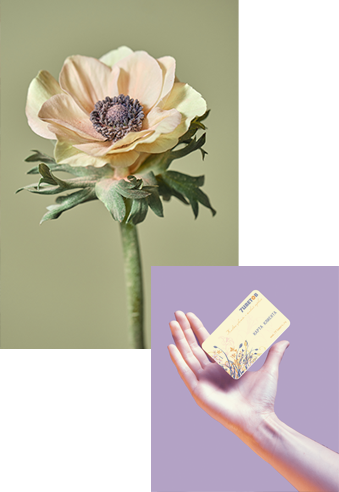 Подробности о работе с компанией 7ЦВЕТОВ