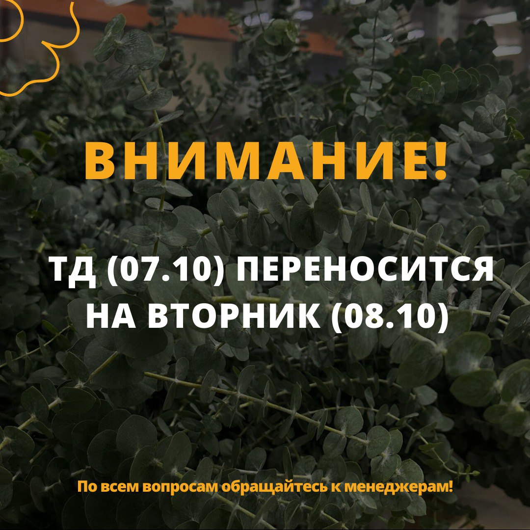 ТД 7.10 переносится на 8.10!