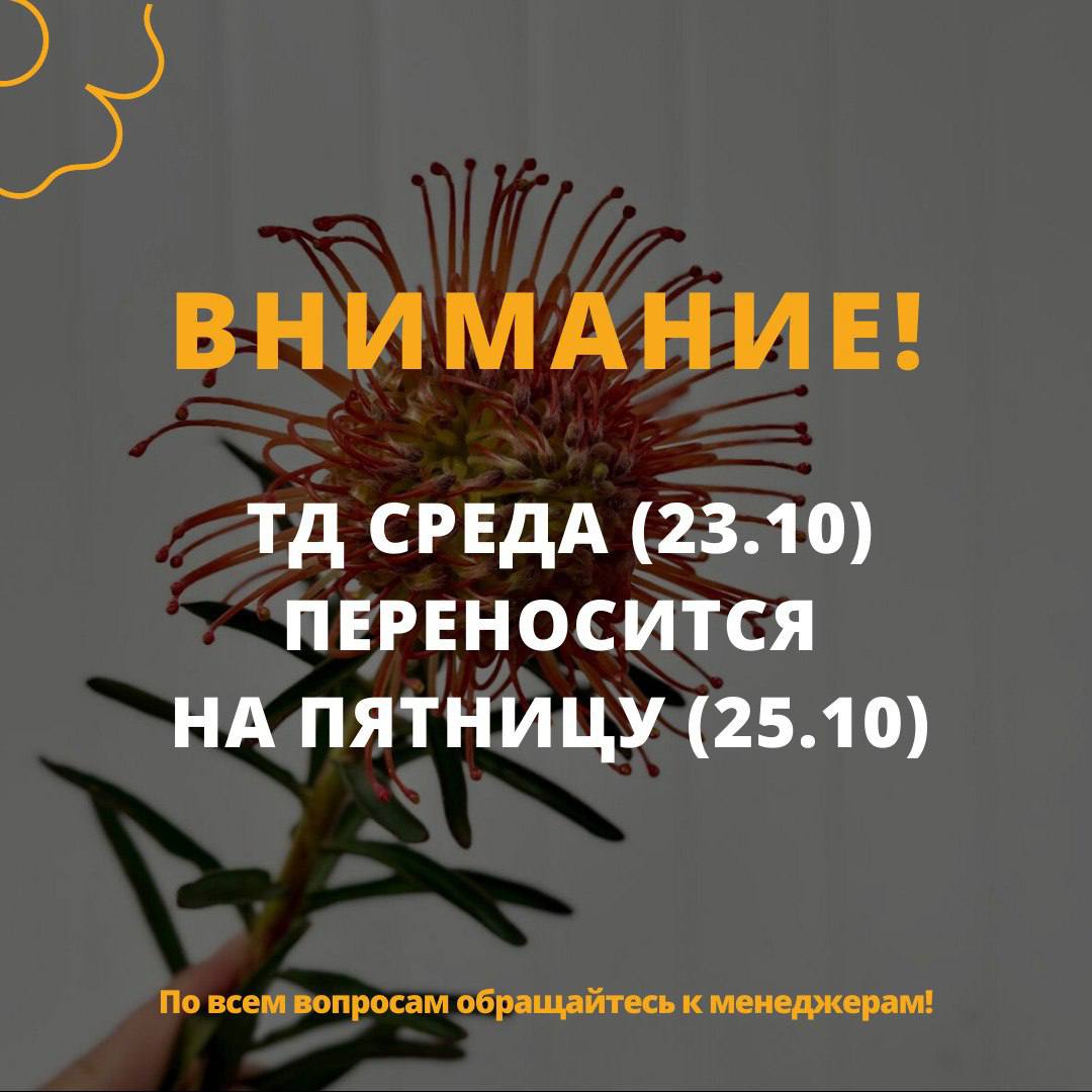 ТД 23.10 переносится на 25.10!