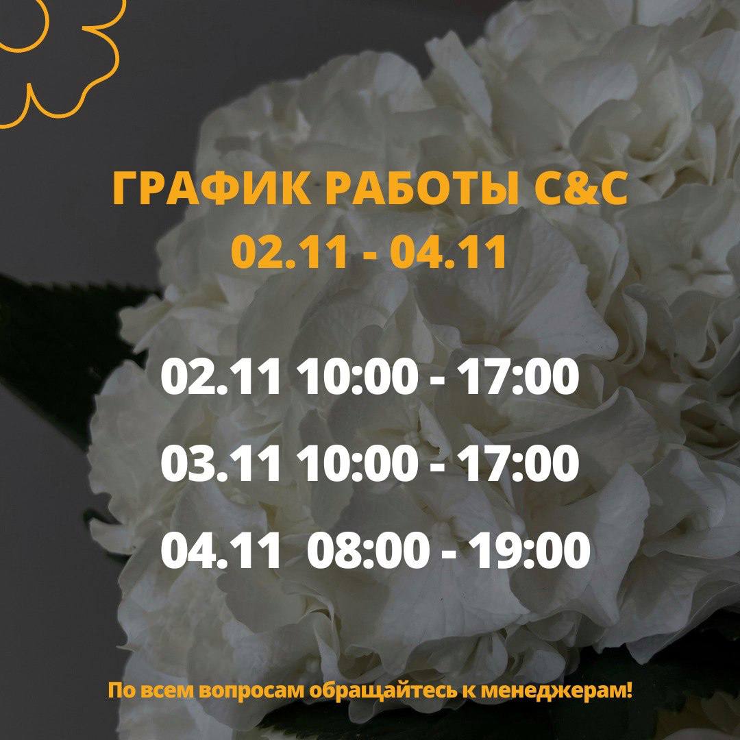 ГРАФИК РАБОТЫ В ПЕРИОД ПРАЗДНИЧНЫХ ДНЕЙ