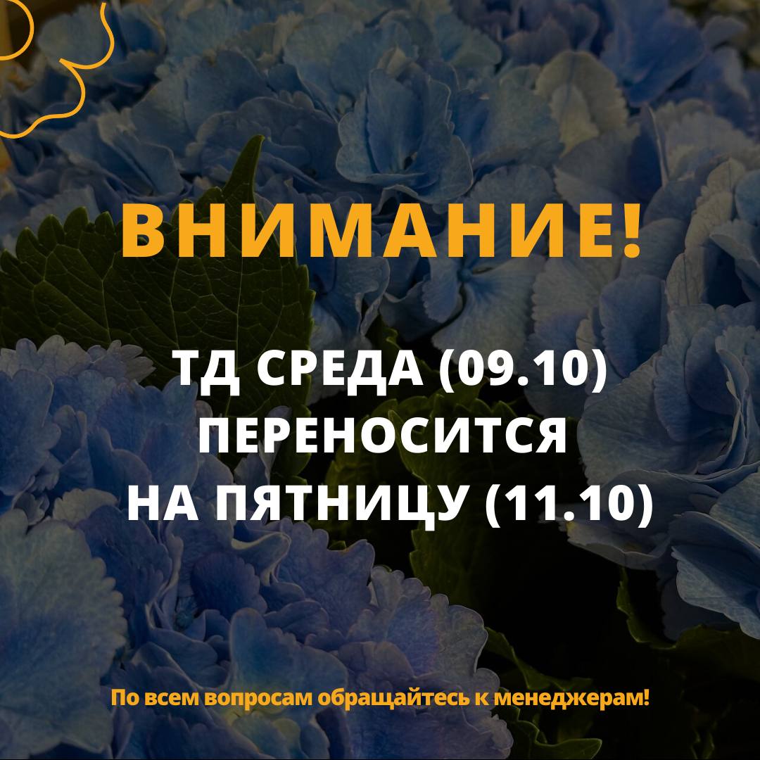 ТД 9.10 переносится на 11.10!