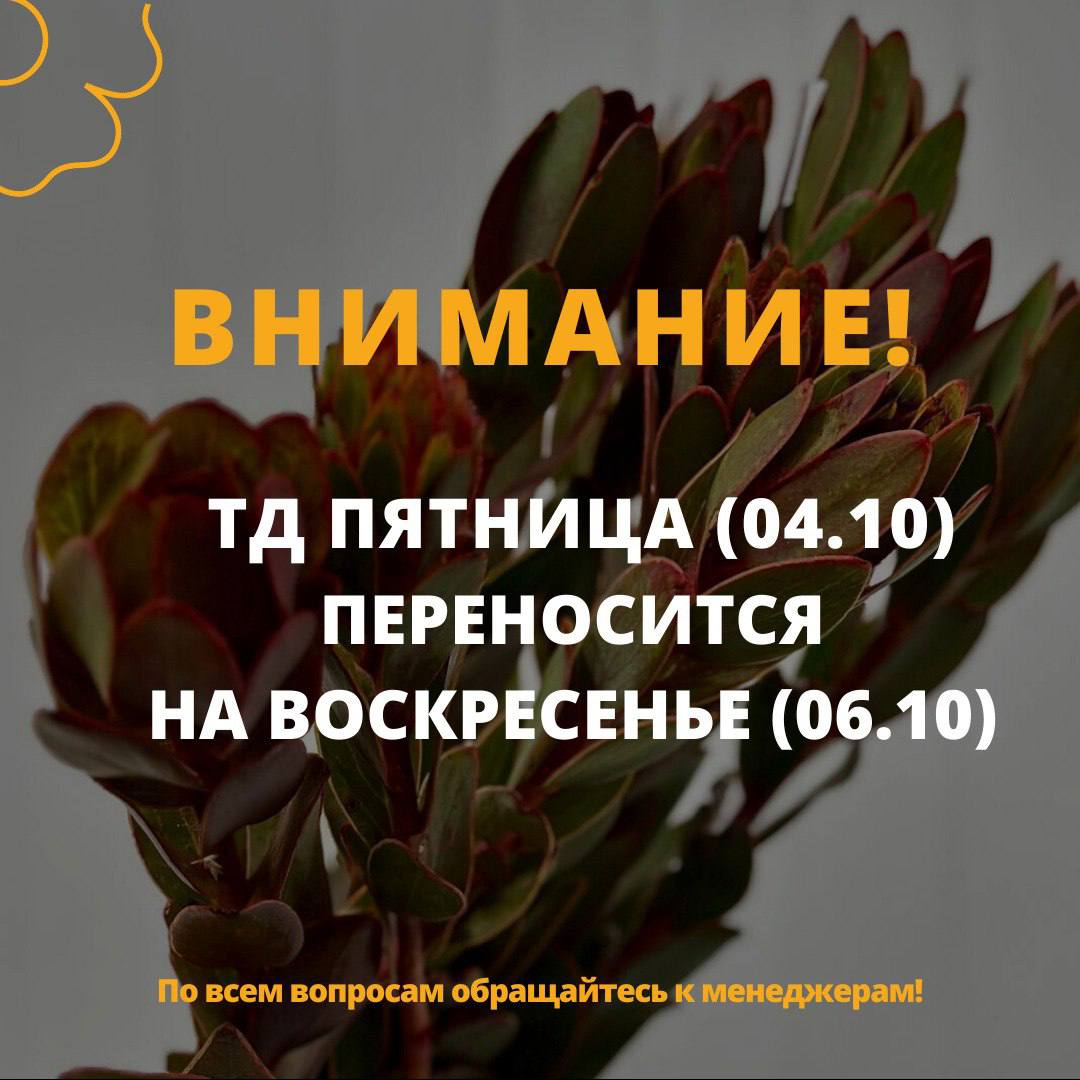 ТД 4.10 переносится на 6.10!