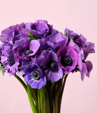 Цветы в Москве от компании 7ЦВЕТОВ