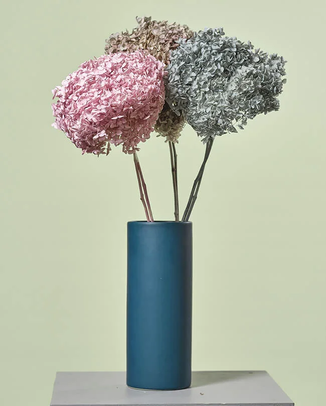 Постоянно пополнение цветочного ассортимента