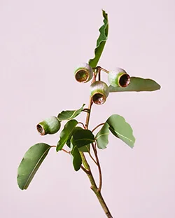 Десятки тысяч наименований