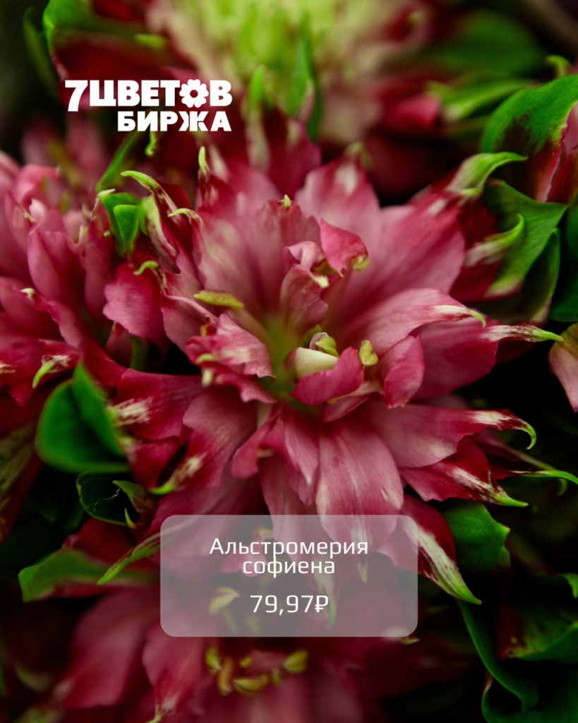 photo_2025-11-05_15-35-07 (2).jpg