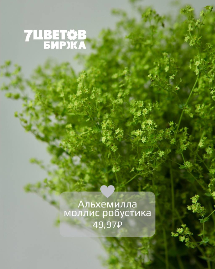 Тд1306_1.jpg