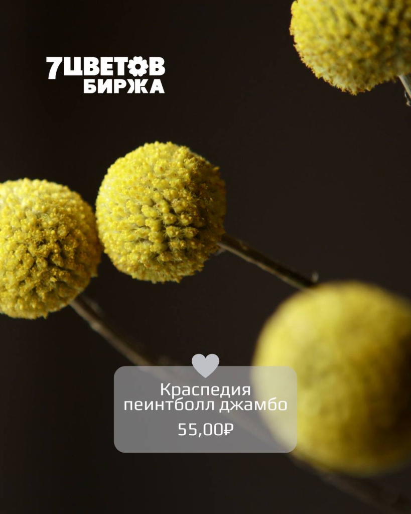 ТД2305_3.jpg ТД2305_3.jpg
