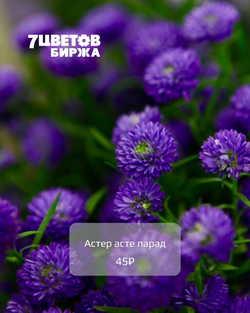 5307766966208633053.jpg
