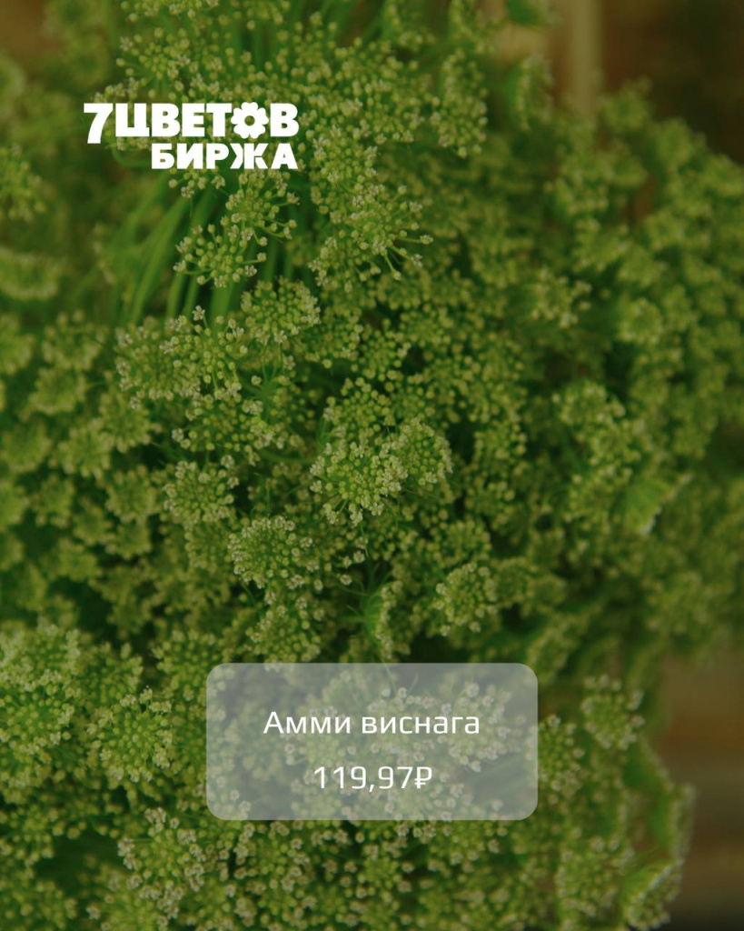 photo_2025-11-05_15-35-08 (2).jpg