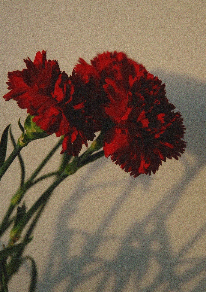 image11.jpg