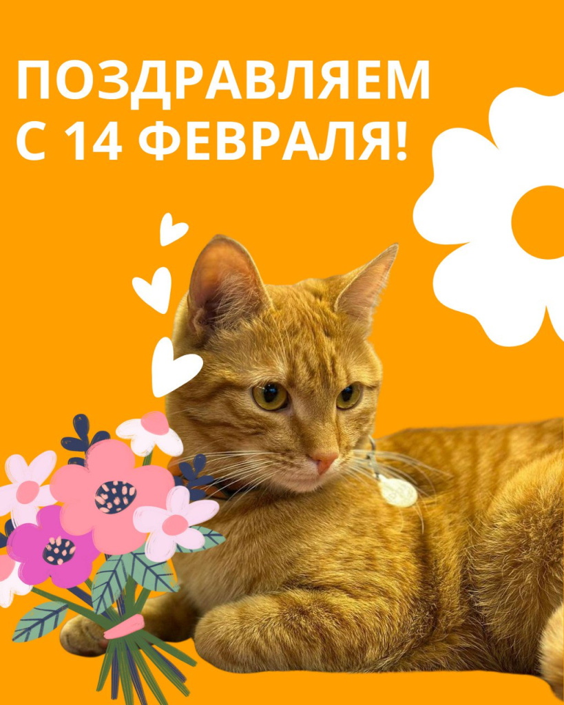 ПОЗДРАВЛЯЕМ С ДНЕМ СВЯТОГО ВАЛЕНТИНА!