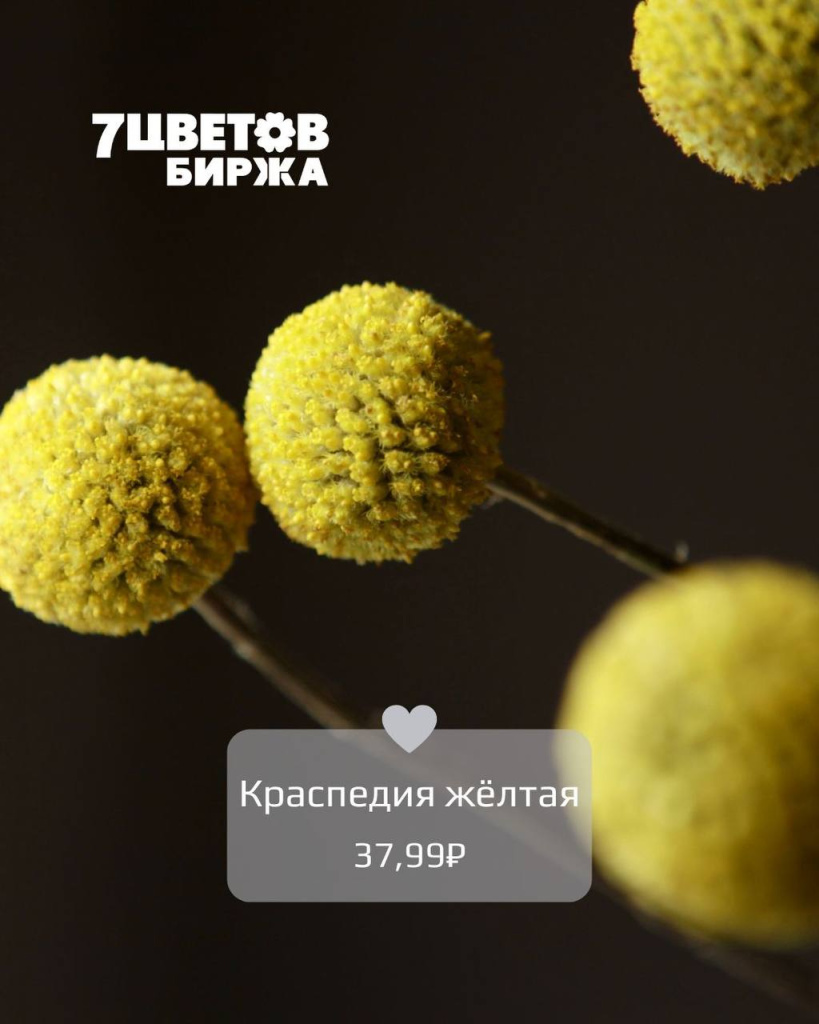 ТД1208_2.jpg ТД1208_2.jpg