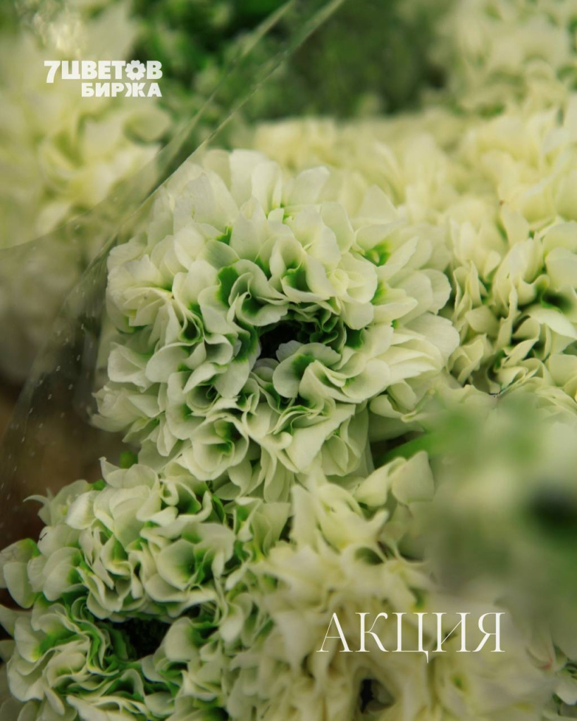 АКЦИИ на предстоящую пятницу 20.03 В БИРЖЕ!