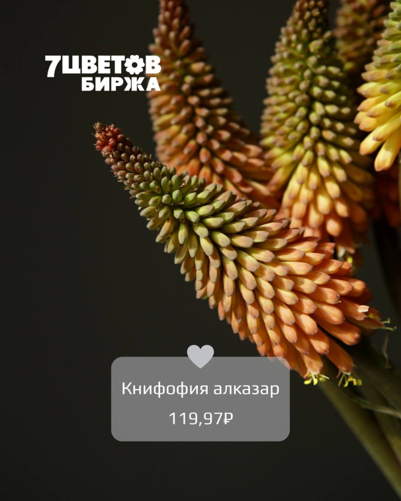 ТД0508_1.jpg ТД0508_1.jpg