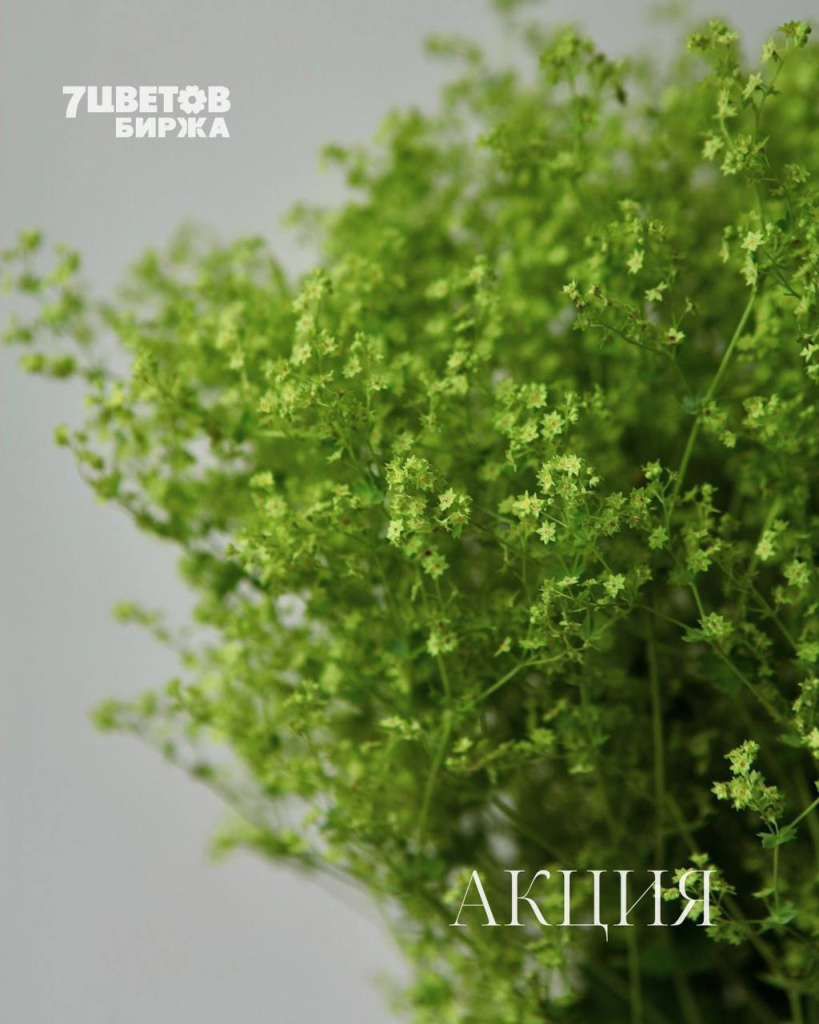 ШЕСТЬ самых выгодных позиций на предстоящую пятницу 19.09 В БИРЖЕ!