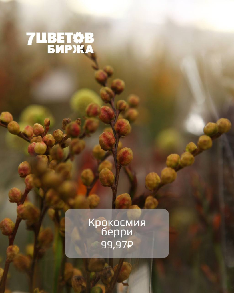 Тд1710_6.jpg Тд1710_6.jpg