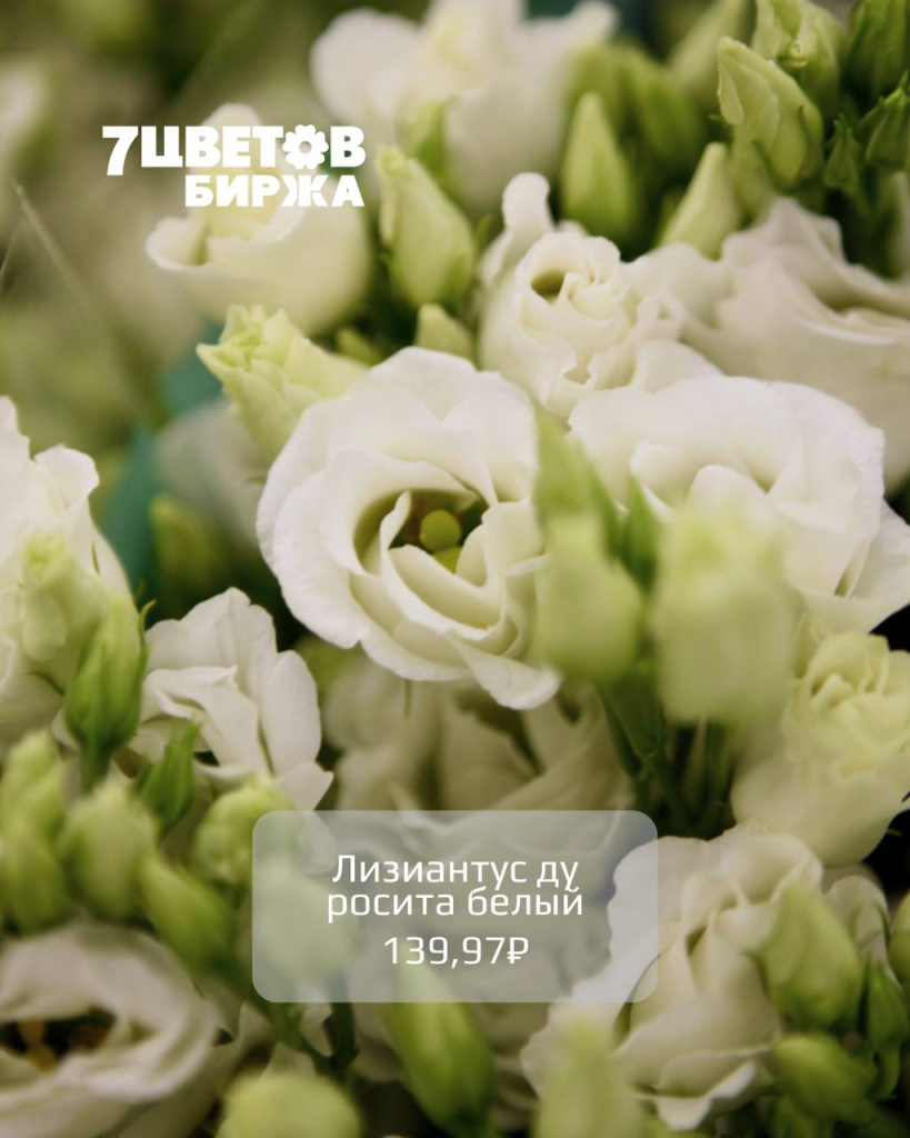 photo_2025-11-19_13-49-40 (2).jpg