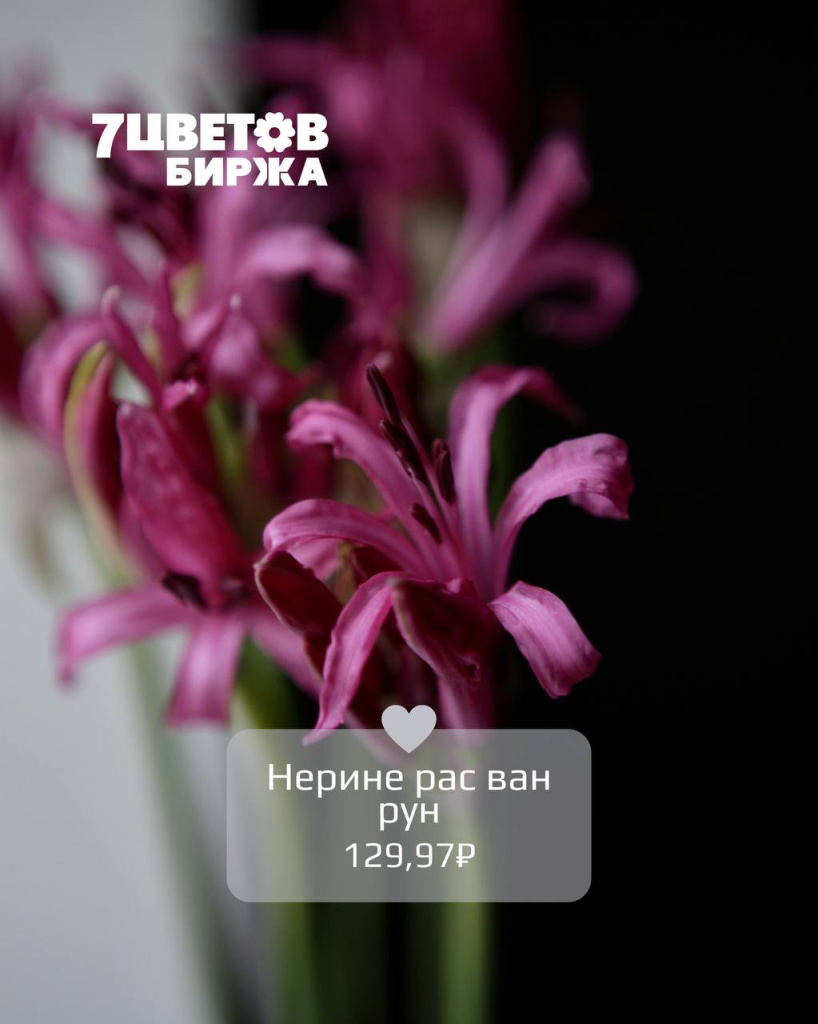 Тд0509_5.jpg Тд0509_5.jpg