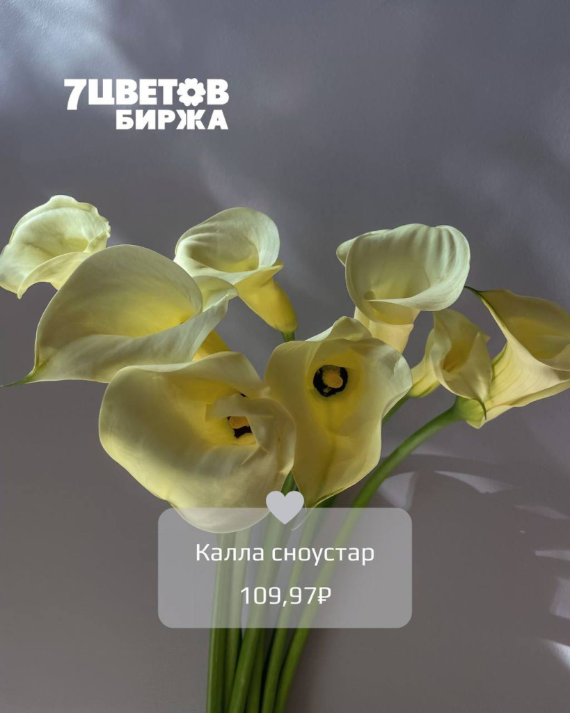 ТД2208_5.jpg ТД2208_5.jpg