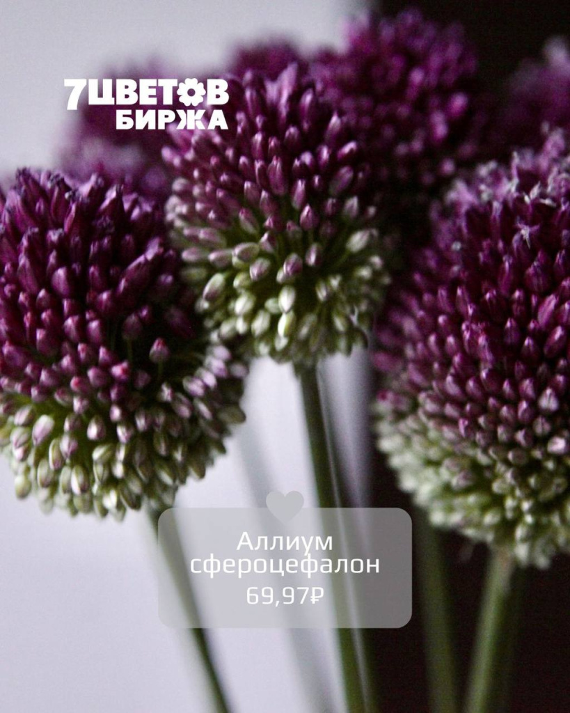 тд1006_5.jpg тд1006_5.jpg
