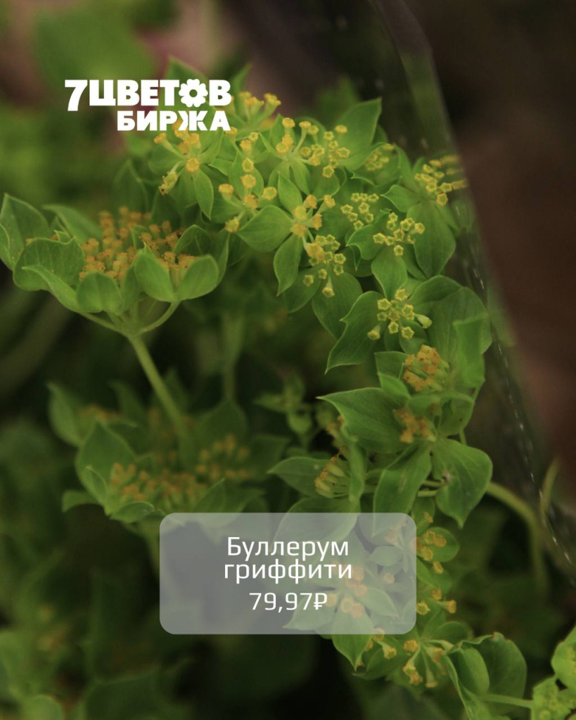 photo_2025-12-16_15-50-31 (2).jpg