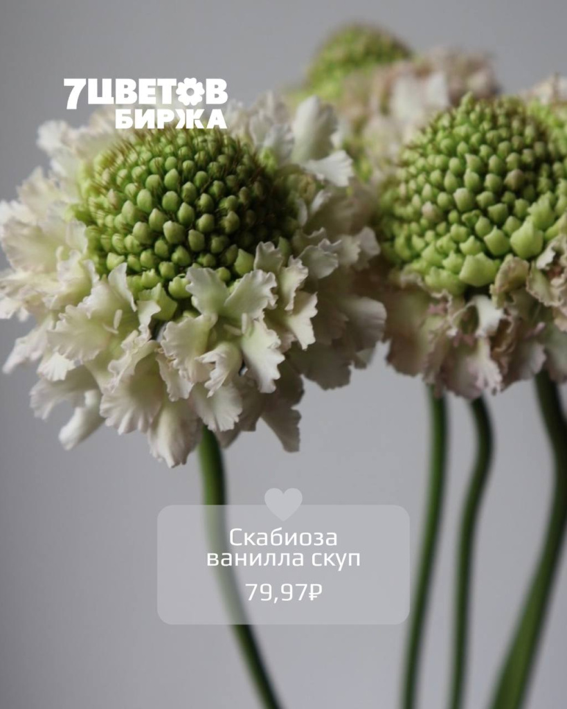 ТД2705_6.jpg ТД2705_6.jpg