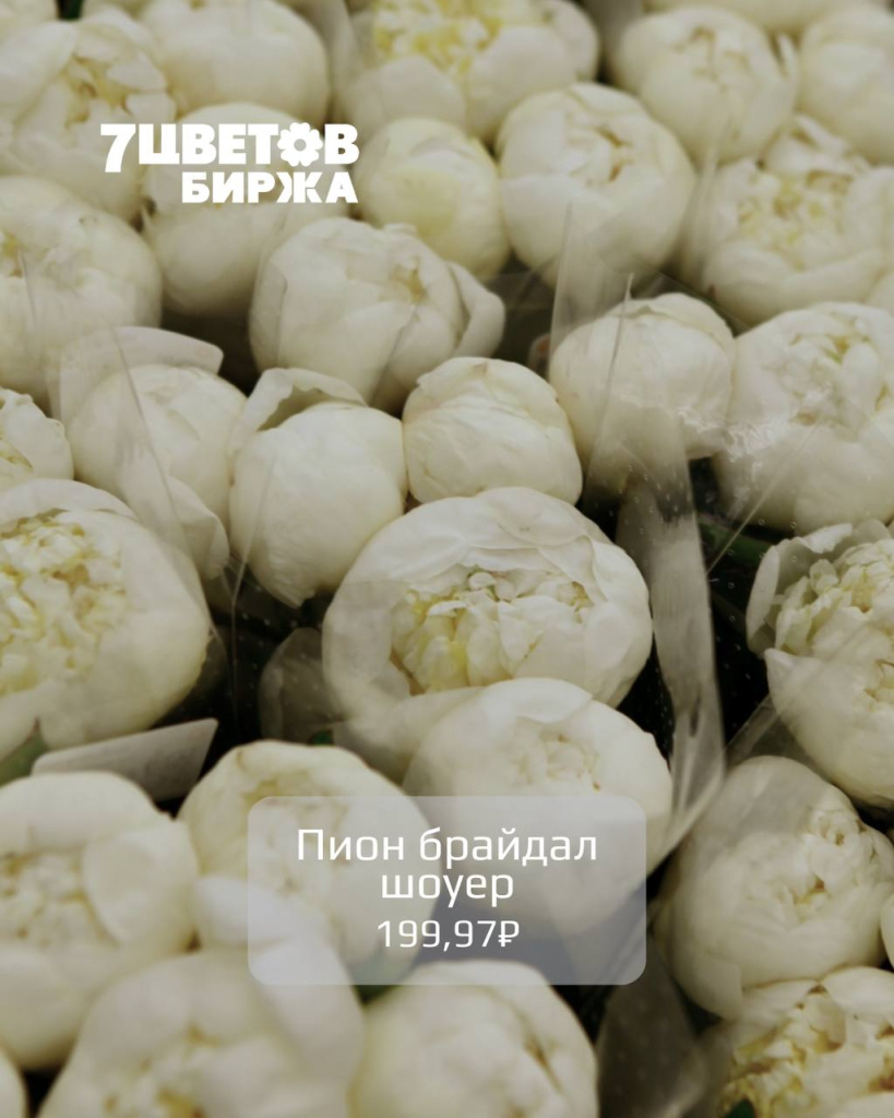 photo_2025-12-08_18-12-28 (2).jpg