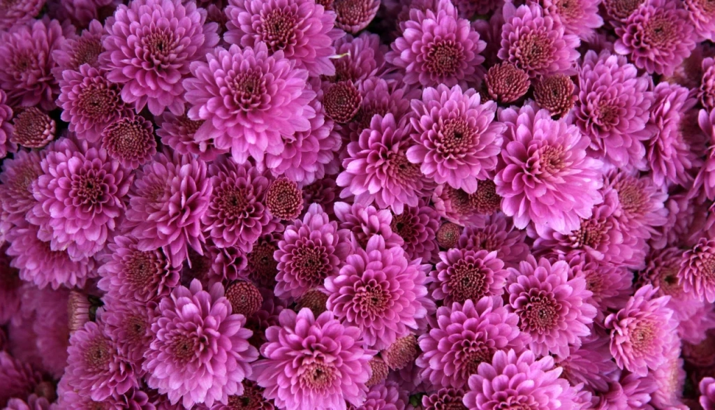 4 (576 x 330 пикс.)_20250610_122200_0000.png