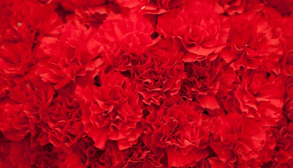 4 (576 x 330 пикс.)_20250611_134129_0000.png 4 (576 x 330 пикс.)_20250611_134129_0000.png