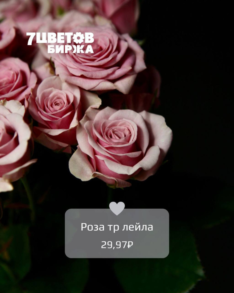 ТД0606_3.jpg ТД0606_3.jpg