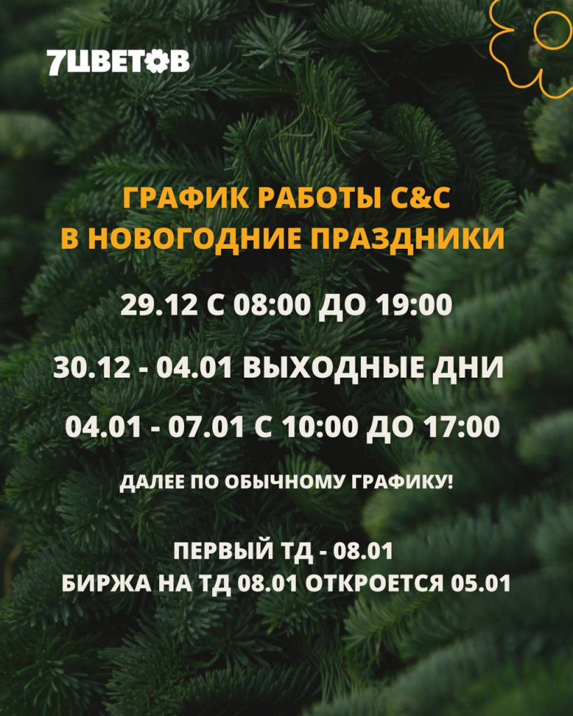 С&C: График работы в новогодние праздники
