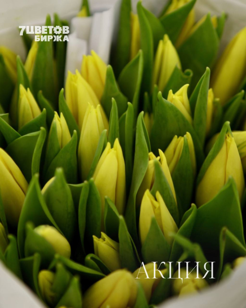 АКЦИИ на предстоящий понедельник 02.03 В БИРЖЕ!