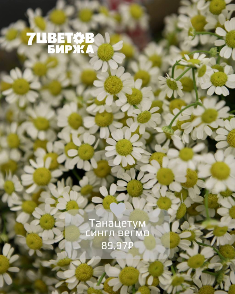 Тд1306_3.jpg