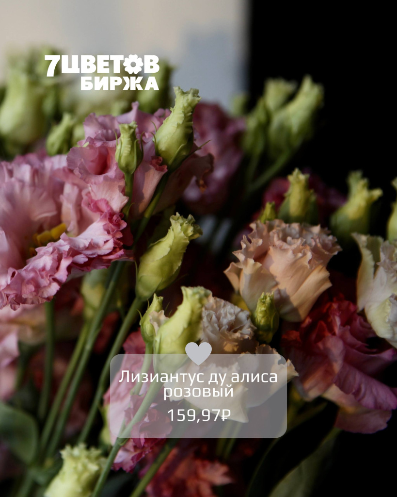 Тд2908_5.jpg Тд2908_5.jpg