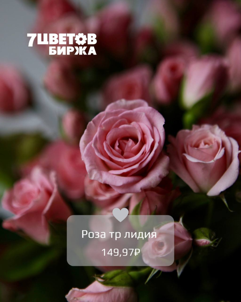 ТД0306_3.jpg ТД0306_3.jpg