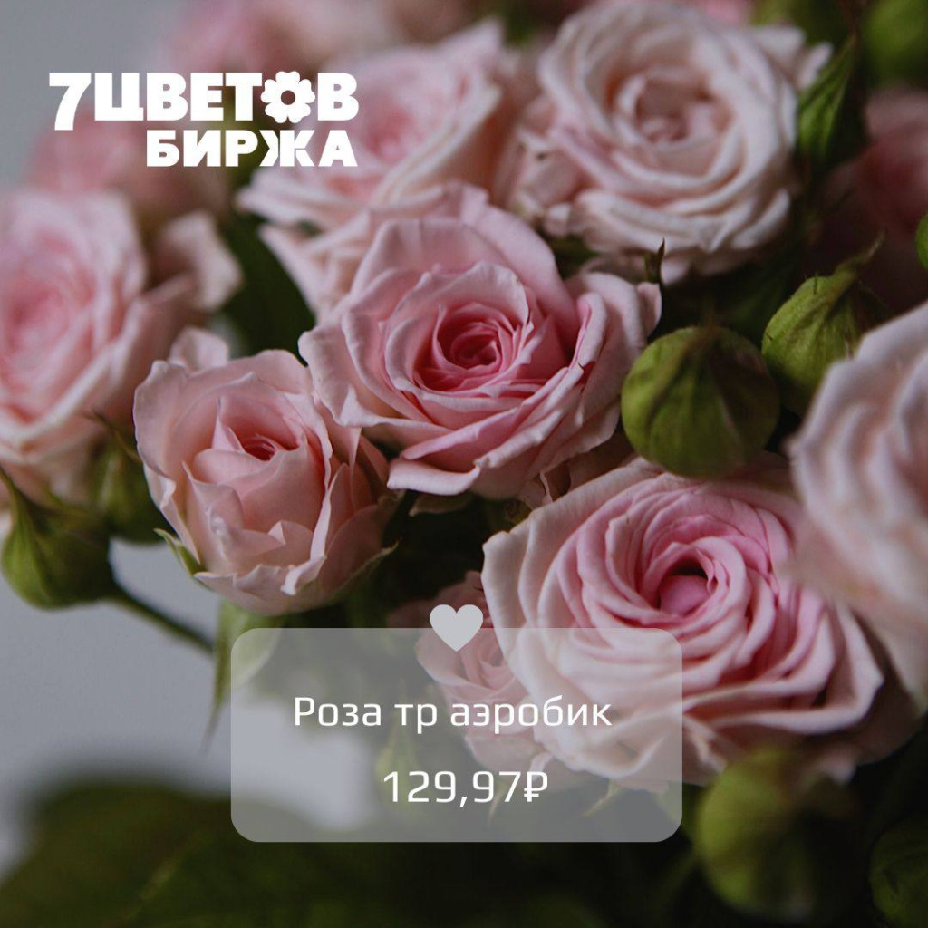 06_01.jpg