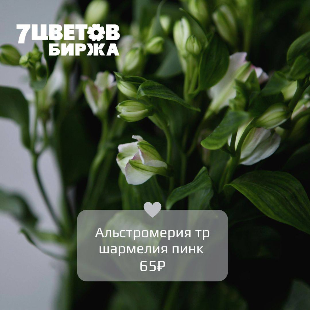 06_03.jpg
