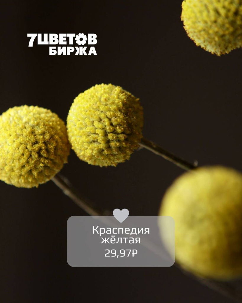 ТД0606_4.jpg ТД0606_4.jpg