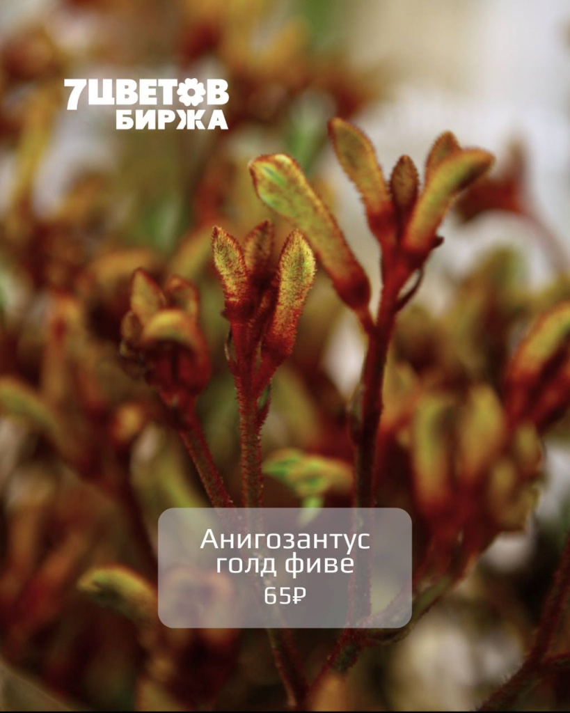 photo_2025-11-19_13-49-41 (2).jpg