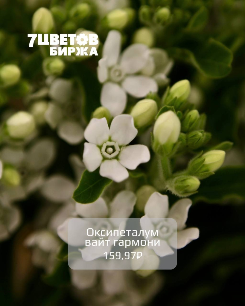 photo_2025-12-16_15-50-29 (2).jpg