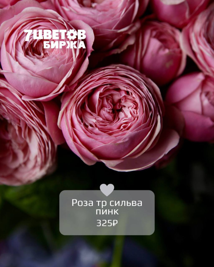 ТД0606_1.jpg ТД0606_1.jpg